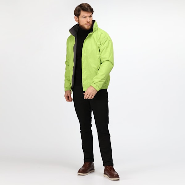 Regatta Dover Vattentät Vindtät Jacka (Thermo-Guard Isolering) Key Lime/Seal Grey XS