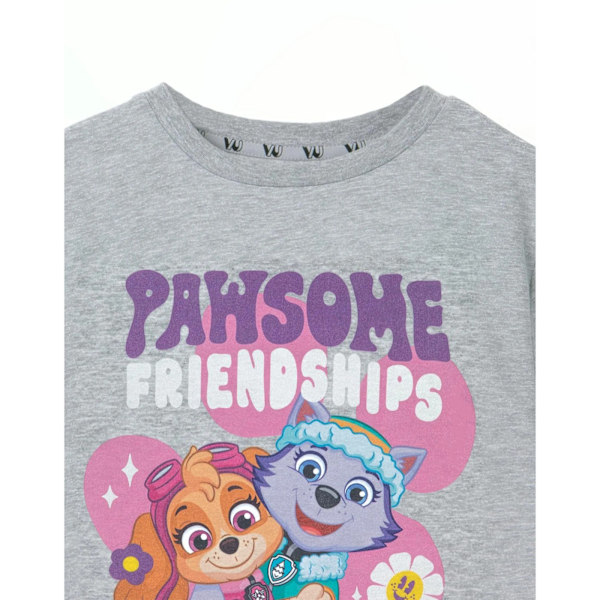 Paw Patrol Girls Pawsome Friendships Marl T-Shirt 3-4 år Grå Grey 3-4 Years