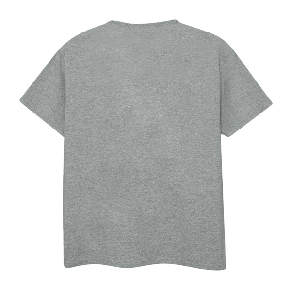Boxtrolls Herr Exterminators T-shirt L Grå Melange Grey Marl L