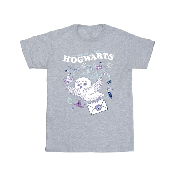 Harry Potter Pojkar Uggla Brev Från Hogwarts T-Shirt 12-13 År Sports Grey 12-13 Years