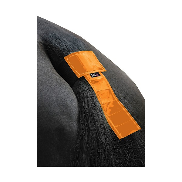 HyVIZ Svansband En Storlek Orange Orange One Size