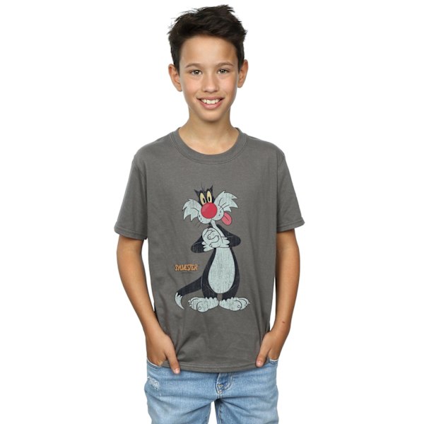 Looney Tunes Boys Sylvester Distressed T-Shirt 5-6 år Charcoal Charcoal 5-6 Years