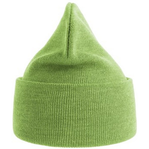 Atlantis Unisex Vuxen Ren Beanie i Ren Återvunnen Material En Storlek Acid Lime Acid Lime One Size
