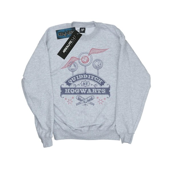 Harry Potter Pojkar Quidditch På Hogwarts Sweatshirt 7-8 År Sp Sports Grey 7-8 Years