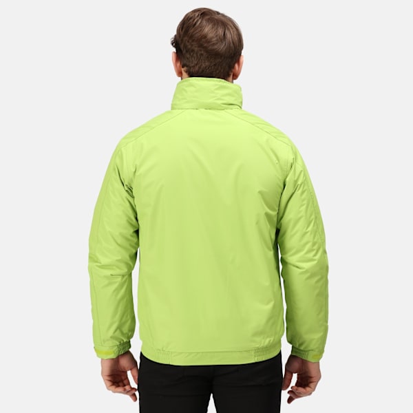 Regatta Dover Vattentät Vindtät Jacka XL Key Lime/Seal Key Lime/Seal XL