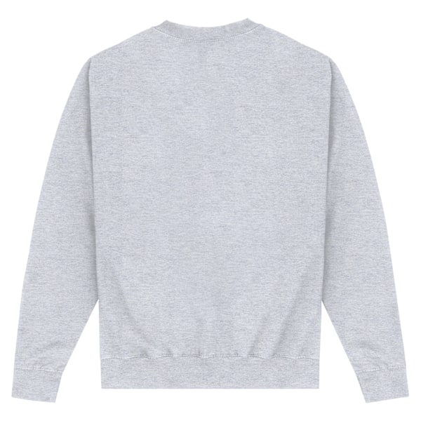 Trollkarlen från Oz Unisex Vuxen Som Hemma Sweatshirt 3XL Grå Grey 3XL