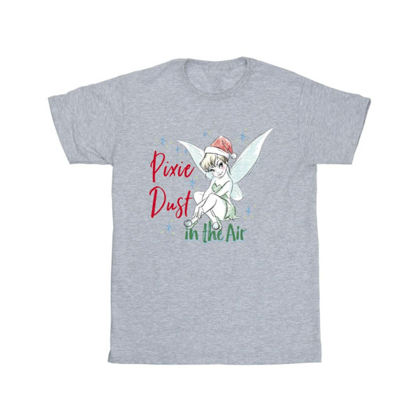 Disney Boys Tinker Bell Pixie Dust T-shirt 3-4 år Sports Grey Sports Grey 3-4 Years