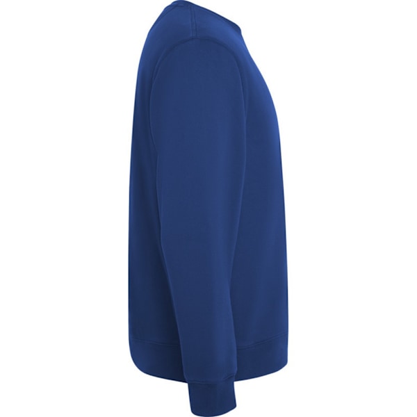 Roly Unisex Vuxen Batian Crew Neck Sweatshirt L Royal Blue Royal Blue L