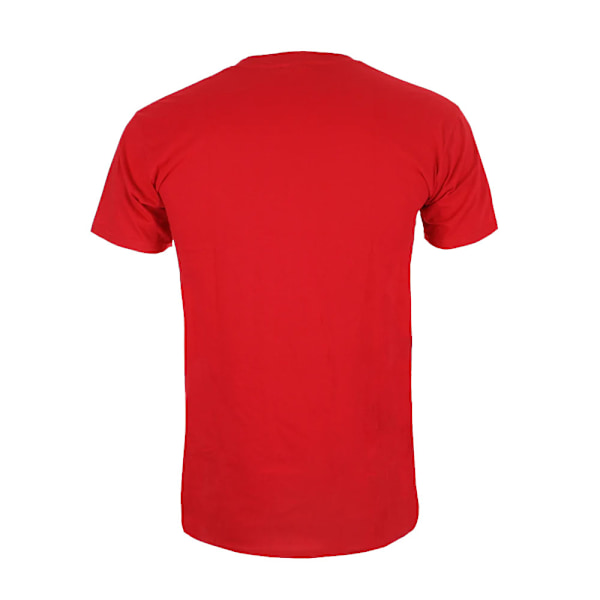 The Flash Distressed Logo T-shirt L Röd Red L