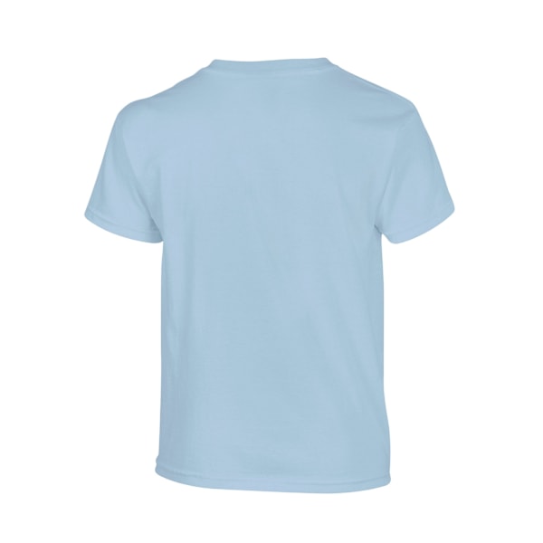 Gildan Barn/Barn Plain Bomull T-shirt 12-13 År Ljusblå Light Blue 12-13 Years