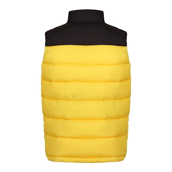 Regatta Professional Herr Colour Block Väst S Solar/Svart Solar/Black S