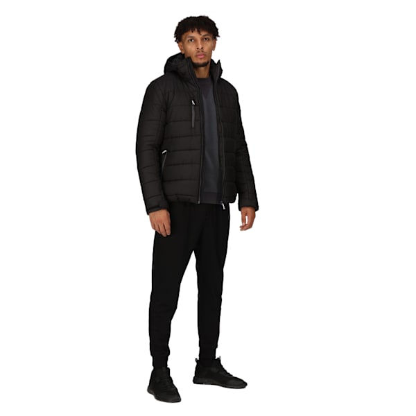 Regatta Professional Herr Värme Vadderad Jacka M Svart/Seal Grå Black/Seal Grey M