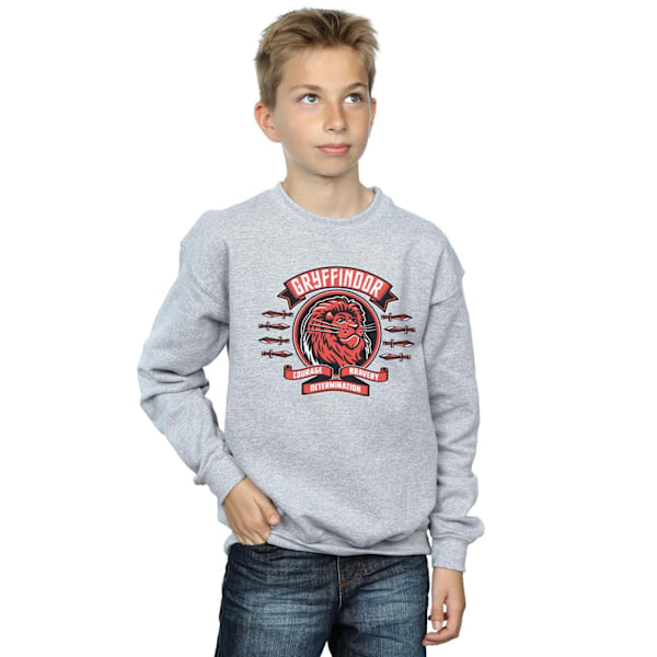 Harry Potter Pojkar Gryffindor Toon Crest Sweatshirt 12-13 År Sports Grey 12-13 Years