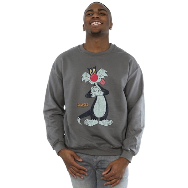 Looney Tunes Herr Sylvester Distressed Sweatshirt S Charcoal Charcoal S