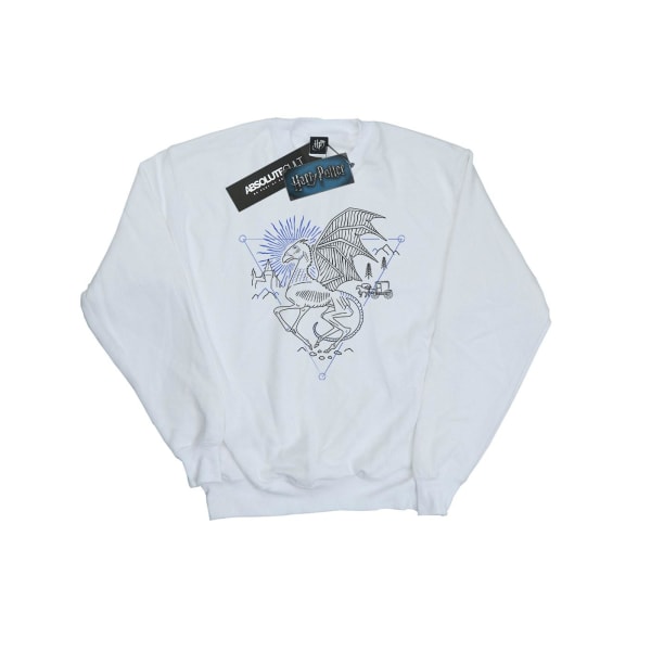 Harry Potter Herr Thestral Line Art Sweatshirt XL Vit White XL