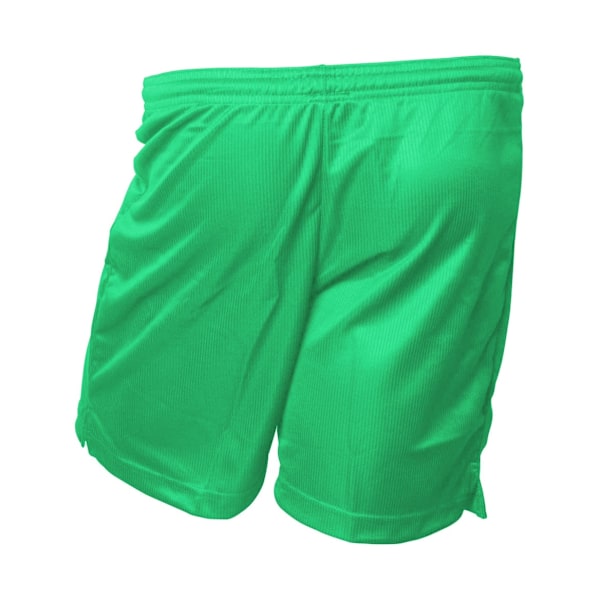 Precision Unisex Vuxen Micro-Stripe Fotbollsshorts XXL Grön Green XXL