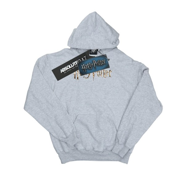 Harry Potter Dam/Kvinnor Full Colour Logo Hoodie S Sports Grå Sports Grey S