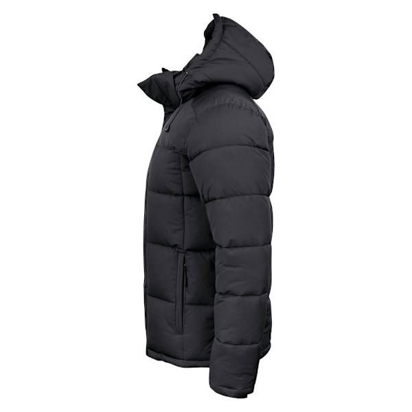 Clique Herr Colorado Vadderad Jacka XL Svart Black XL