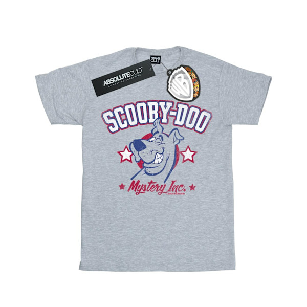 Scooby Doo Boys Collegiate Mystery Inc T-shirt 7-8 år Sport Sports Grey 7-8 Years