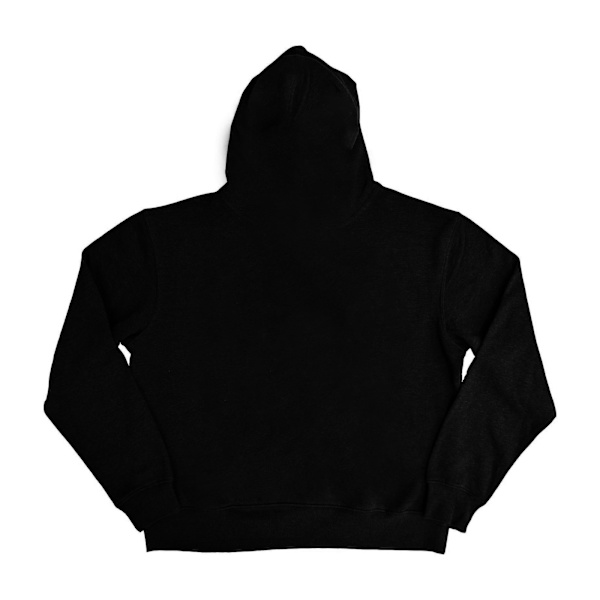 Foo Fighters Unisex Vuxen Infill Logo Hoodie S Svart Black S