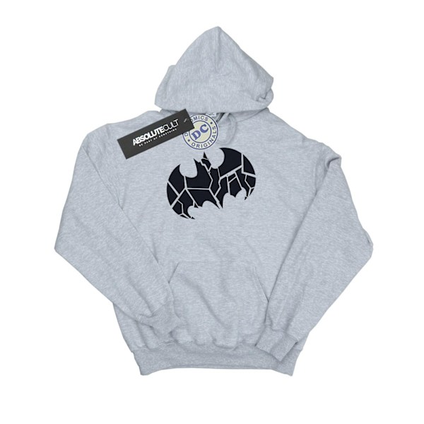 DC Comics Herr Batman One Colour Shield Hoodie S Sports Grey Sports Grey S