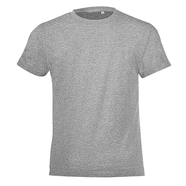 SOLS Barn/Barn Regent Kortärmad Åtsittande T-shirt 4 År Grey Marl 4 Years