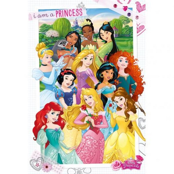 Disney Princess Poster One Size Flerfärgad Multicoloured One Size