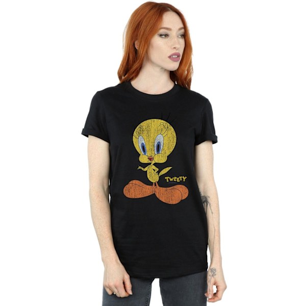 Looney Tunes Dam/Damer Tweety Pie Distressed Bomull Boyfriend Black M