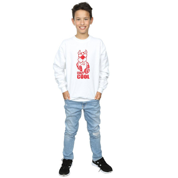 Scooby Doo Boys Crazy Cool Sweatshirt 5-6 år Vit White 5-6 Years