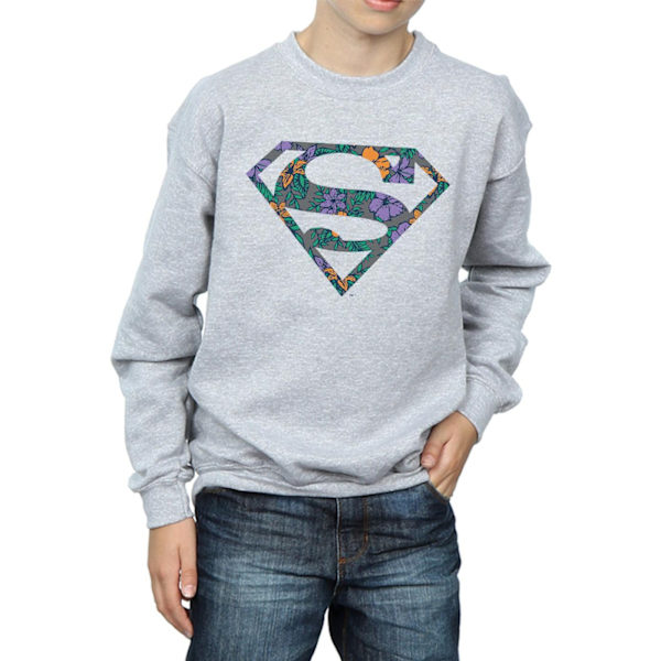 DC Comics Boys Superman Floral Logo 1 Sweatshirt 9-11 år Spo Sports Grey 9-11 Years