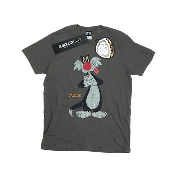 Looney Tunes Girls Sylvester Distressed Bomull T-shirt 12-13 År Charcoal 12-13 Years