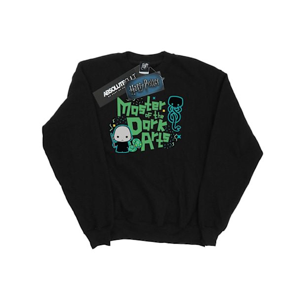 Harry Potter Boys Voldemort Dark Arts Junior Sweatshirt 12-13 år Black 12-13 Years