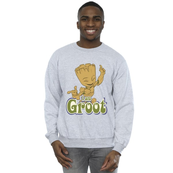 Guardians Of The Galaxy Herr Groot Dancing Sweatshirt XXL Sport Sports Grey XXL