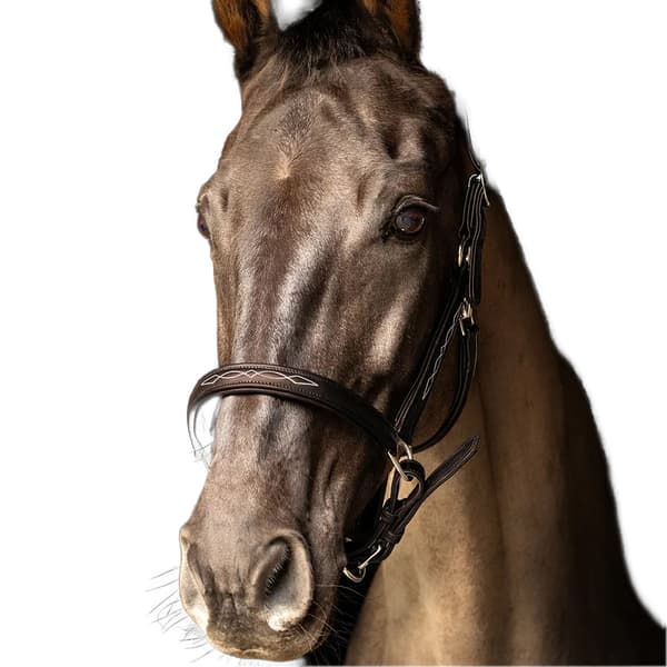 Hy ProPresicce Läder Hästgrimma Cob Brun/Silver Brown/Silver Cob