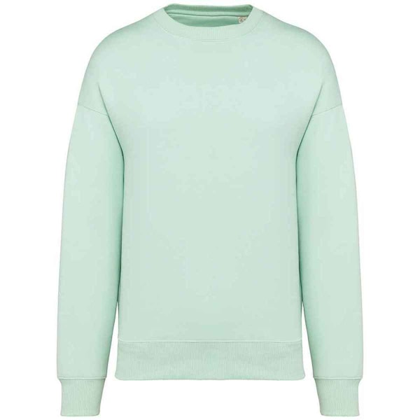 Native Spirit Dam/Dam Oversized Sweatshirt 3XL Brook Gree Brook Green 3XL