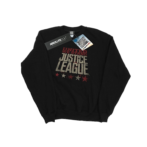 DC Comics Justice League Movie United We Stand Sweatshirt för män Black XL