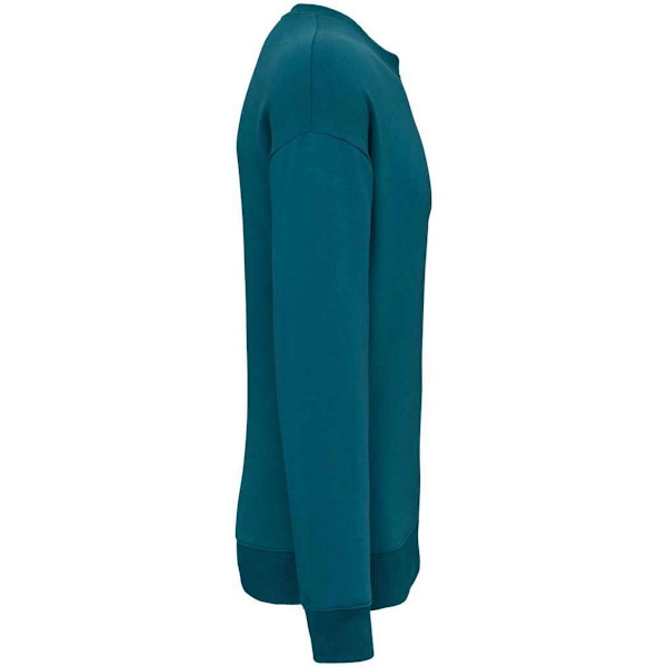 Native Spirit Dam/Dam Oversized Sweatshirt 3XL Påfågel Grön Peacock Green 3XL