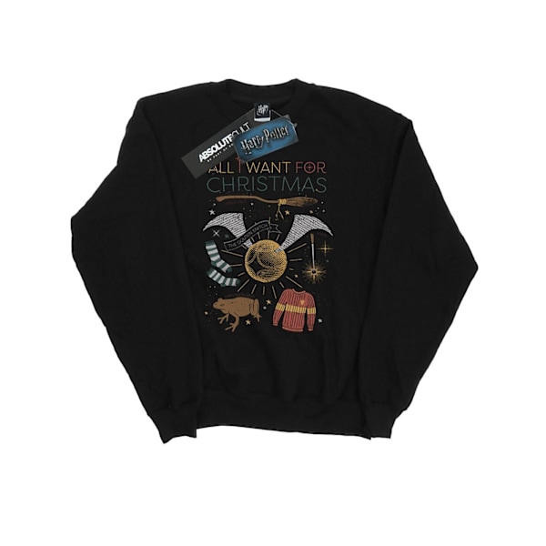 Harry Potter Herr All I Want For Christmas Sweatshirt 4XL Svart Black 4XL
