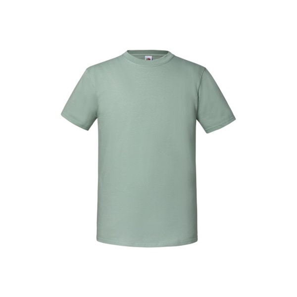 Fruit Of The Loom Mens Iconic Premium Ringspun Cotton T-Shirt X Sage XL