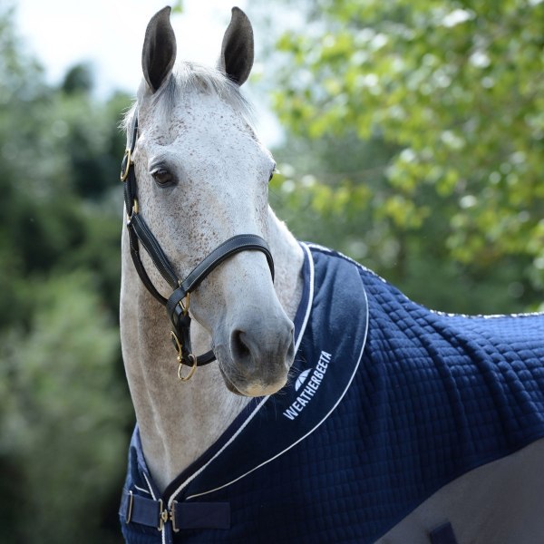 Weatherbeeta Thermo-Air Standard-Neck Horse Cooler Rug 7´ 3 Na Navy/Grey 7´ 3