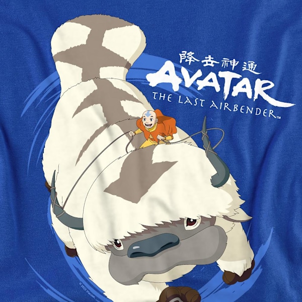 Avatar: The Last Airbender Unisex Vuxen In Flight Appa Sweatshirt Royal Blue M