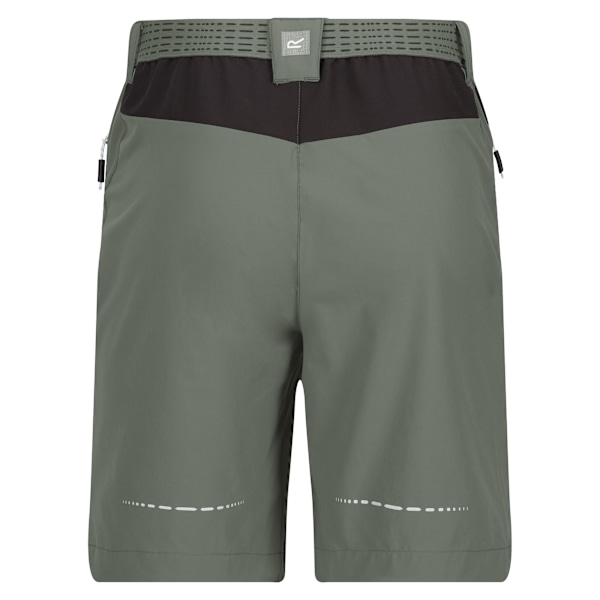 Regatta Herr Mountain II Shorts 34R Agave Grön/Ask Agave Green/Ash 34R