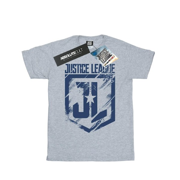 DC Comics Boys Justice League Movie Indigo Logo T-Shirt 5-6 år Sports Grey 5-6 Years