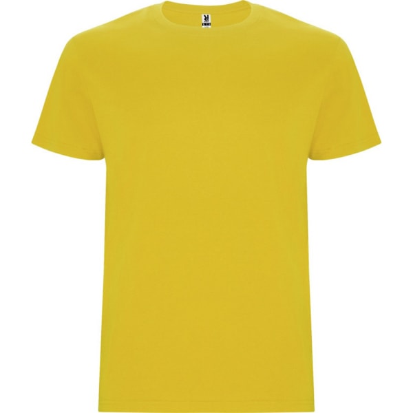 Roly Barn/Barn Stafford Kortärmad T-shirt 11-12 År Yellow 11-12 Years
