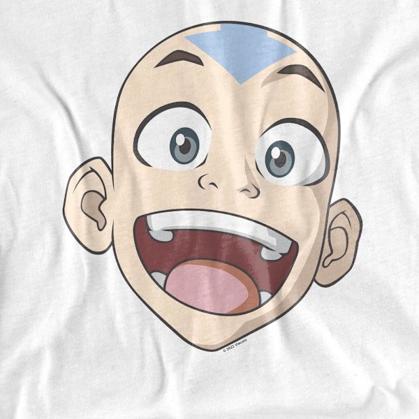 Avatar: The Last Airbender Unisex Vuxen Aang Stor Ansikte T-Shirt M White M