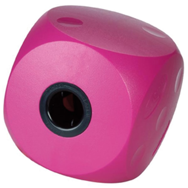 Buster Mini Cube Small Cherry Cherry Small
