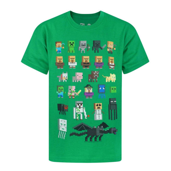 Minecraft Official Boys Sprites Characters T-shirt 12-13 år Green 12-13 Years