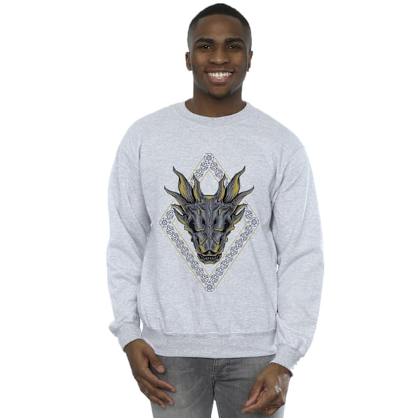 Game Of Thrones: House Of The Dragon Herr Dragonmönstrade Tröjor Sports Grey 4XL
