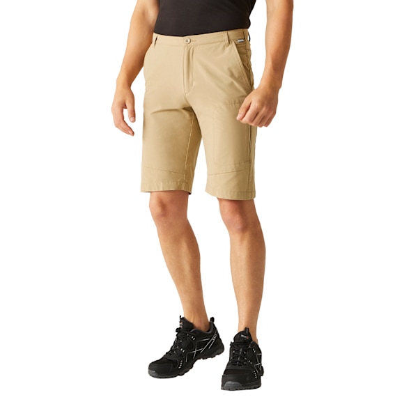 Regatta Highton Vandringsshorts för Män 30R Havre Oat 30R