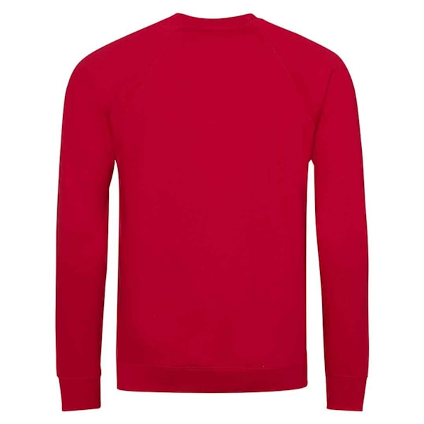 Awdis Barn/Barn Akademi Raglan Sweatshirt XXL Röd Red XXL